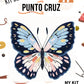 Kit punto cruz - Mariposa